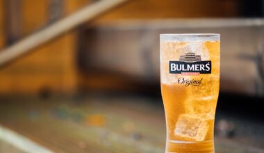 C&C’s profit woes boost case for deal as stock fizzles to 17-year low – The Irish Times