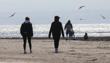 North Dublin neighbours in bitter court dispute over construction of wall at coastal site – The Irish Times