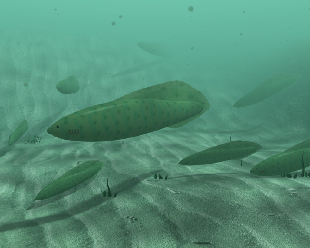 Artistic reconstruction of a group of Myllokunmingiidae swimming near the seafloor