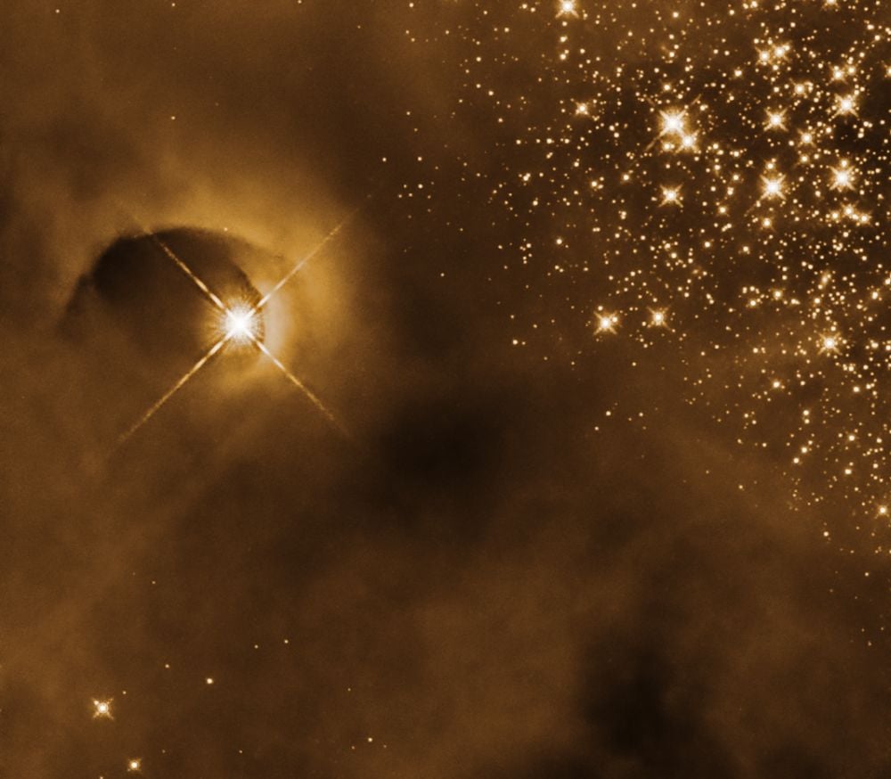 This Hubble Space Telescope image shows a protostar and the cavernous shape it's carved out of the surrounding gas in the Orion Molecular Cloud Complex. Background stars speckle the sky to the right. Image Credit: NASA, ESA, and T. Megeath (University of Toledo); Processing: Gladys Kober (NASA/Catholic University of America)