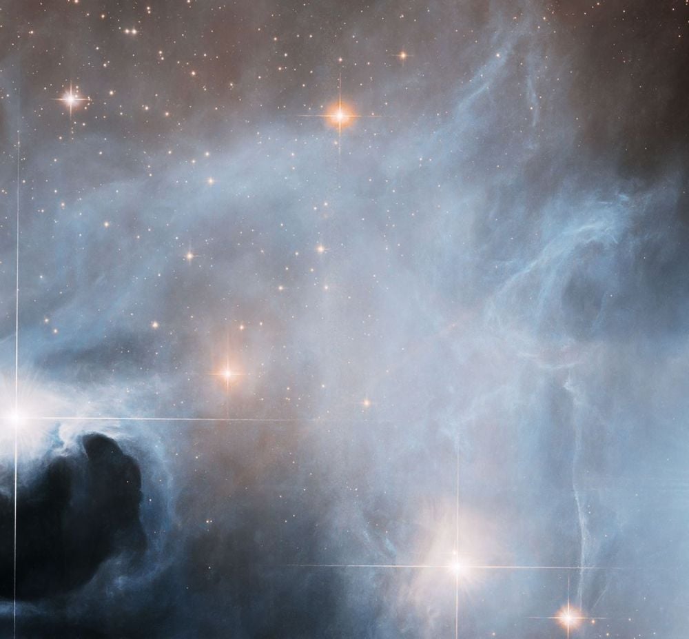 Wispy tendrils of gas float through the Lupus 3 star-forming region in this Hubble Space Telescope image. Lupus 3 features many bright young stars that are clearly visible, having dispersed the gas that surrounded them as they formed. Many others are still hidden inside their gaseous cocoons. Image Credit: NASA, ESA, and K. Stapelfeldt (Jet Propulsion Laboratory); Processing: Gladys Kober (NASA/Catholic University of America)