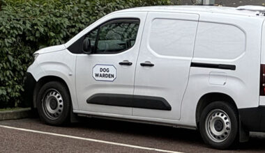 Private company takes over Donegal’s Dog Warden service - report