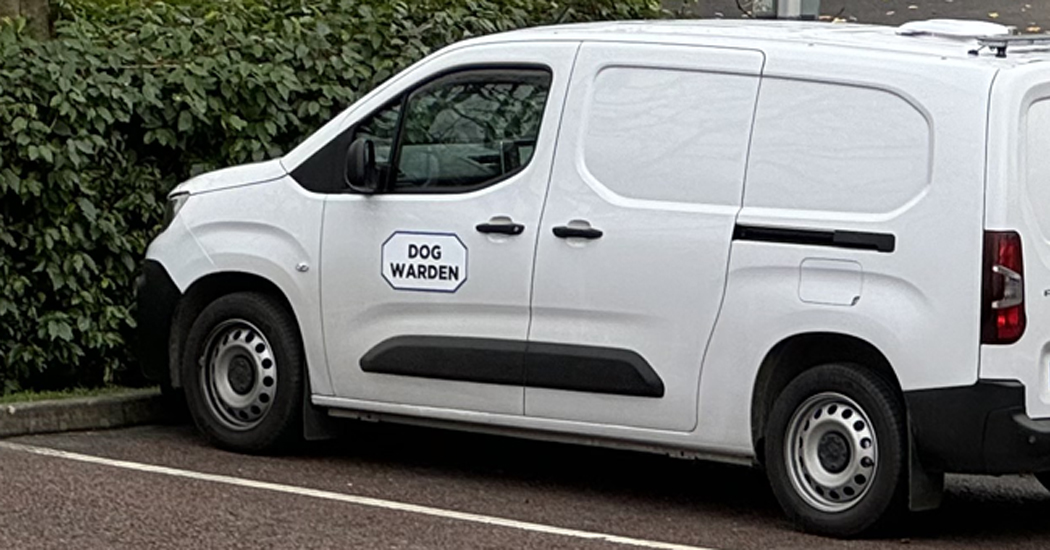 Private company takes over Donegal’s Dog Warden service - report