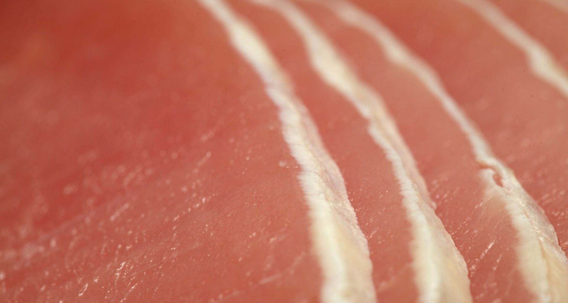 Study: Effects of Minimally Processed Red Meat within a Plant-Forward Diet on Biomarkers of Physical and Cognitive Aging: A Randomized Controlled Crossover Feeding Trial. Image Credit: Tamara Kulikova / Shutterstock