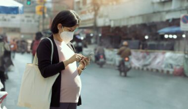 Study: Maternal exposure to ambient air pollution and risk of congenital limb defects in offspring. Image Credit chayanuphol / Shutterstock