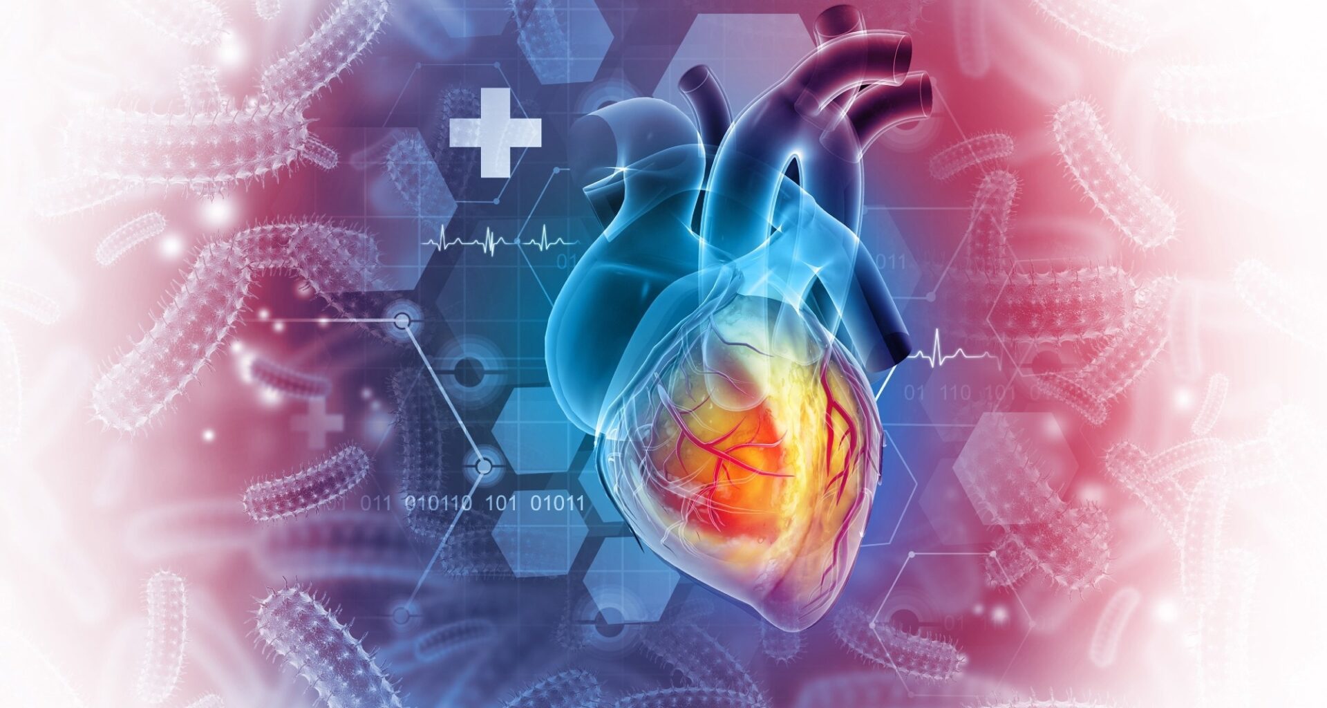 Report: 2026 Heart Disease and Stroke Statistics: A Report of US and Global Data From the American Heart Association. Image Credit: crystal light / Shutterstock