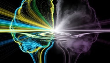 Vi-Probe Achieves Perception Vs Recall Disentanglement Using Graded Visual Illusions