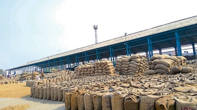 Iran has traditionally been one of the largest buyers of Indian basmati rice, importing around 12 lakh tonnes annually. (File)