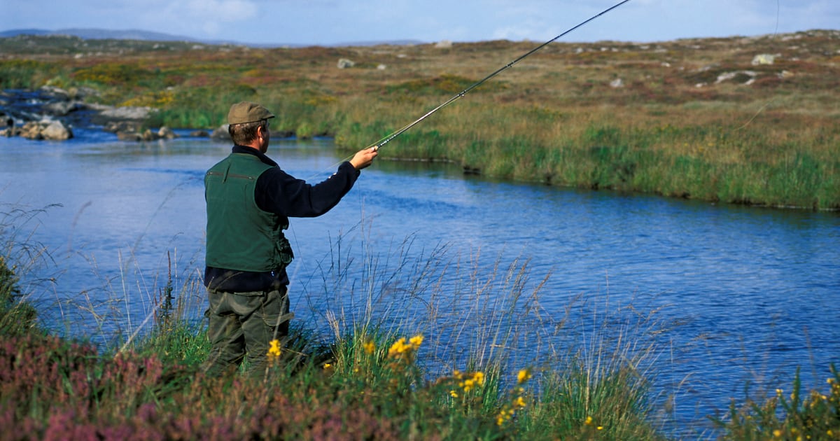 Twenty-six whistleblower disclosures made against Inland Fisheries Ireland since 2022 – The Irish Times