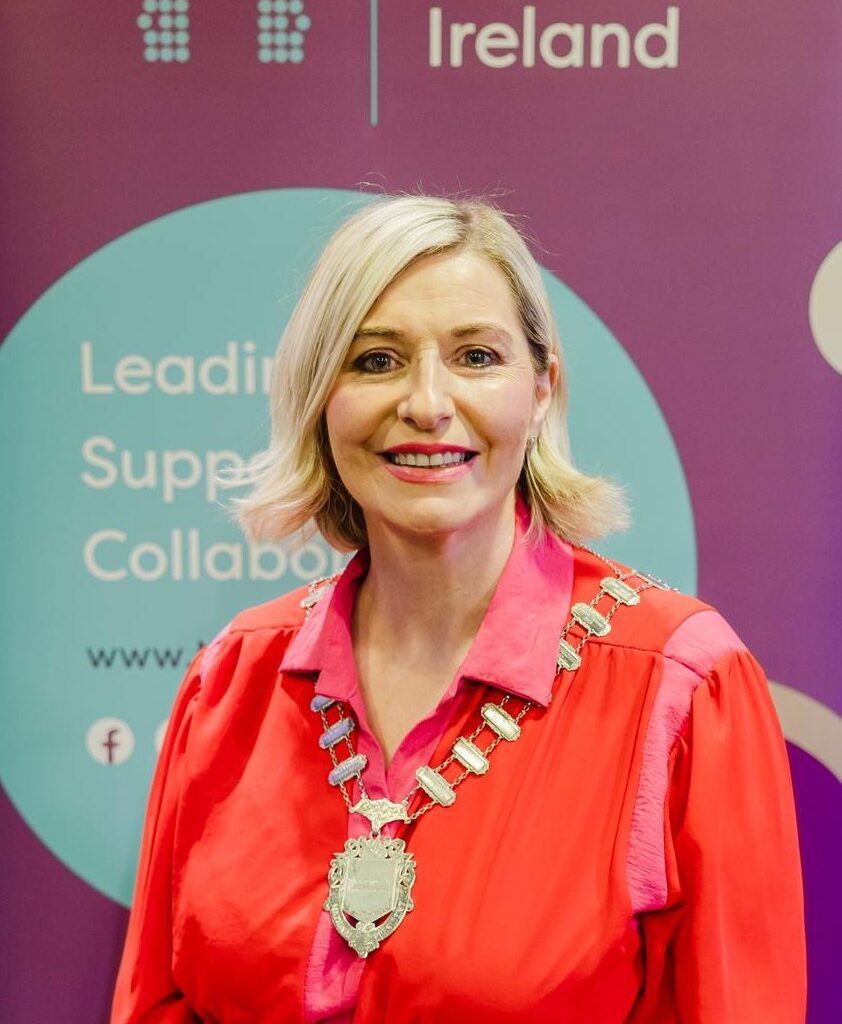 Limerick woman appointed president of Network Ireland