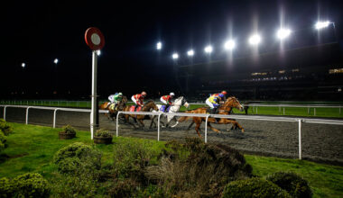 Kempton Races under lights