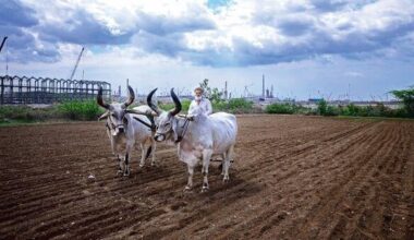 Mint Explainer  Why India Wants Farmers To Shift Crops-Without Touching MSP Or Procurement