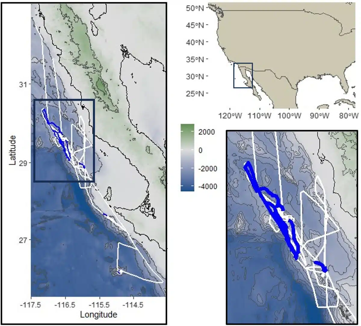 Left Plot Indicates The Study Area Off Northern Baja California, México