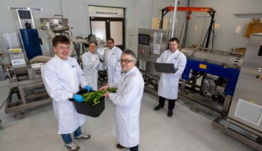 New MTU grass biorefinery 'first of its kind' in Ireland