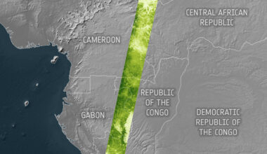 Map of forest carbon from ESA’s Biomass mission