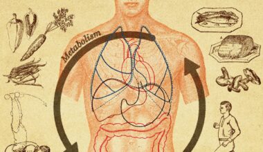 I Went on a Quest to Fix My Metabolism. Here's What I Learned