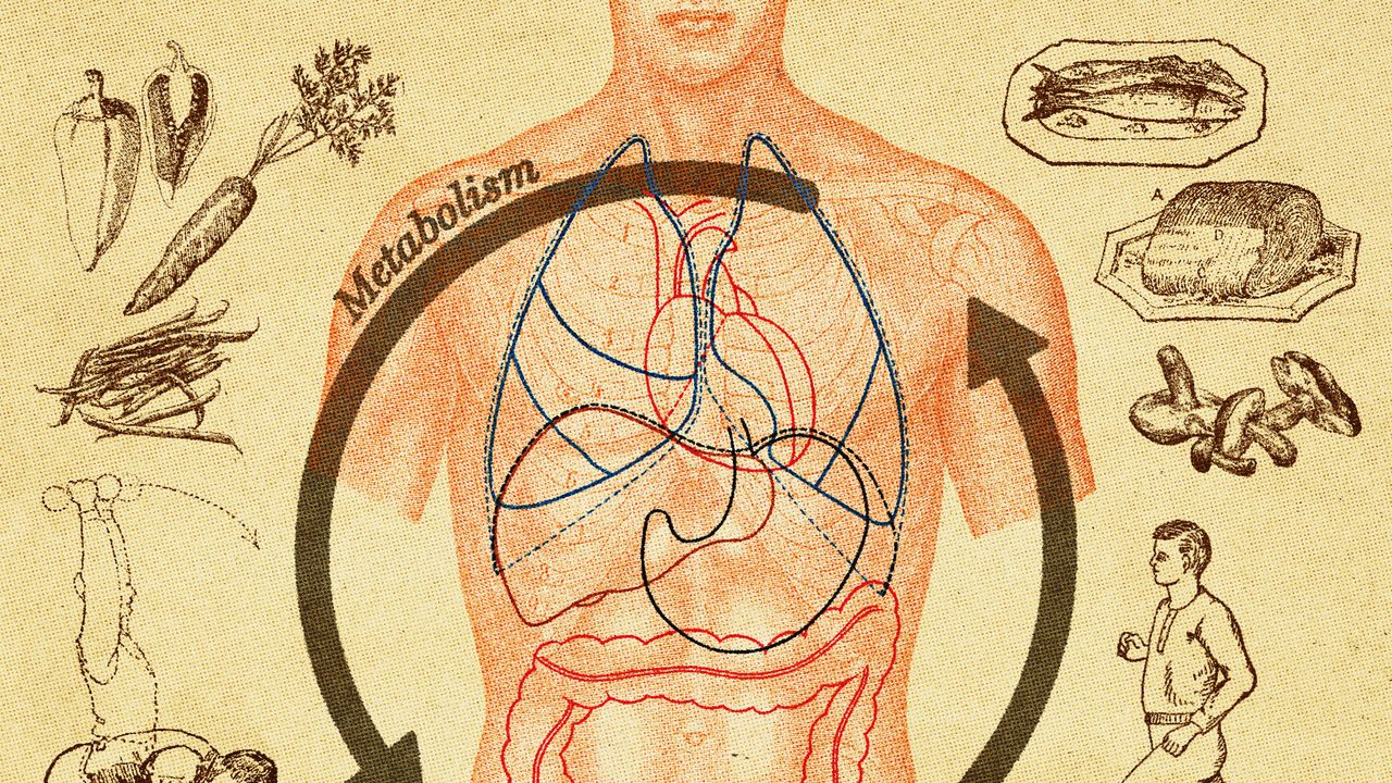 I Went on a Quest to Fix My Metabolism. Here's What I Learned