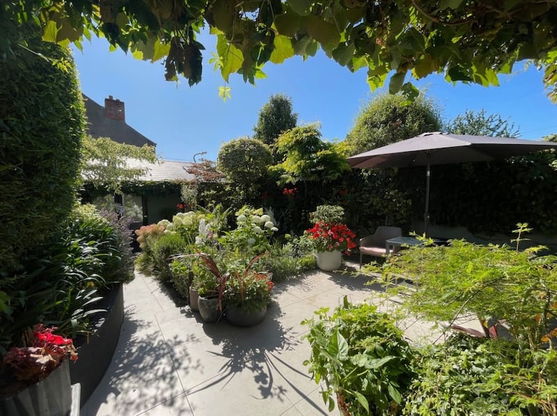 Back garden in bloom