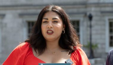 new Oireachtas members adapt to political life – The Irish Times