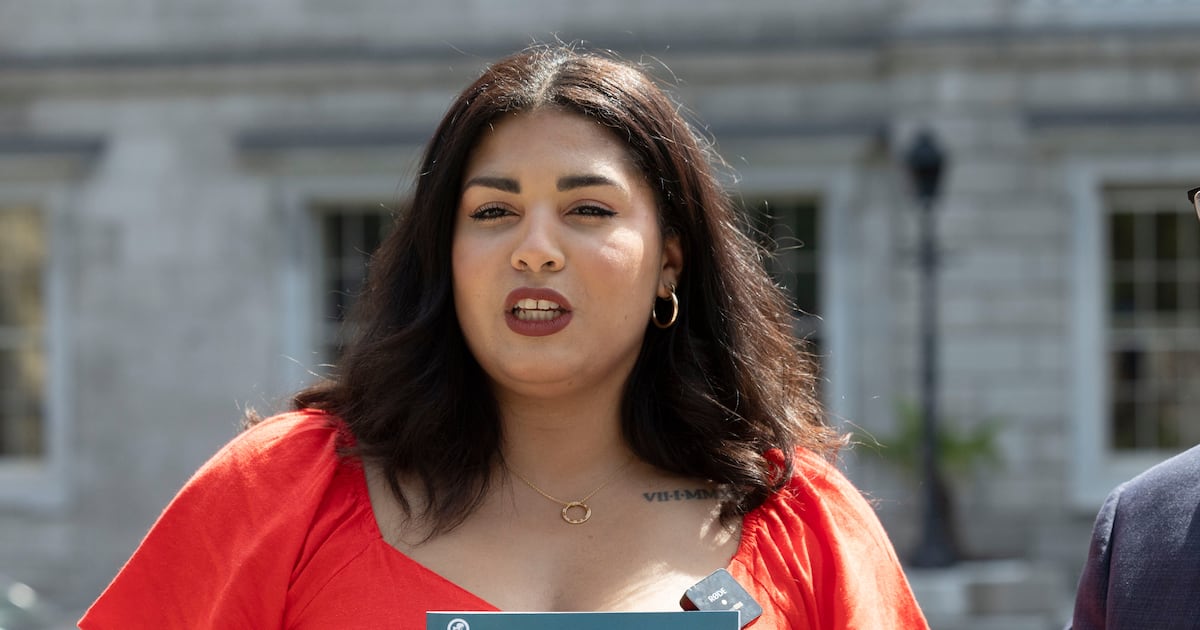 new Oireachtas members adapt to political life – The Irish Times