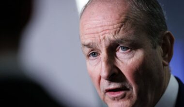 Ireland yet to make decision on joining Trump’s ‘Board of Peace’, Taoiseach says – The Irish Times