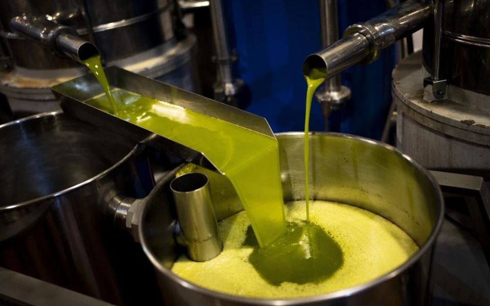 Scarcity tactics aimed to drive up prices hit olive oil