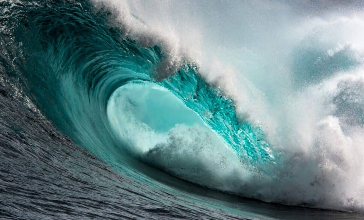 One Of The Ocean’s Most Reliable Systems Collapsed This Year