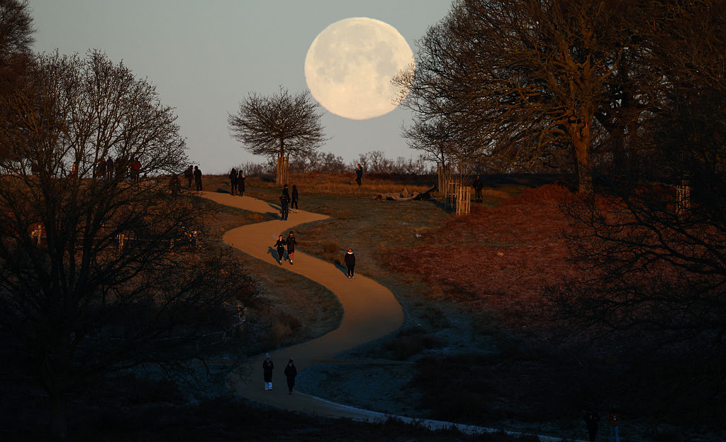Wolf Moon over Richmond Park in London.