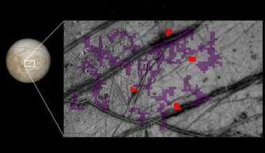 Red pixels mark places on Europa’s surface where ammonia-bearing compounds were detected by the Galileo spacecraft. Purple indicates no such detection. NASA/JPL-Caltech