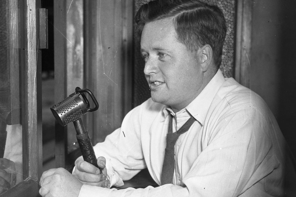 Michael O'Hehir broadcasting in 1953