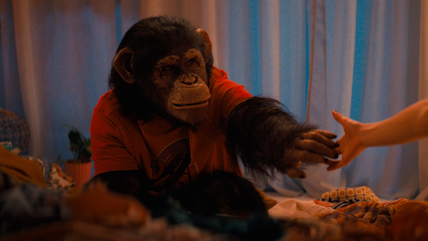 Primate review — 'Solid horror hokum'