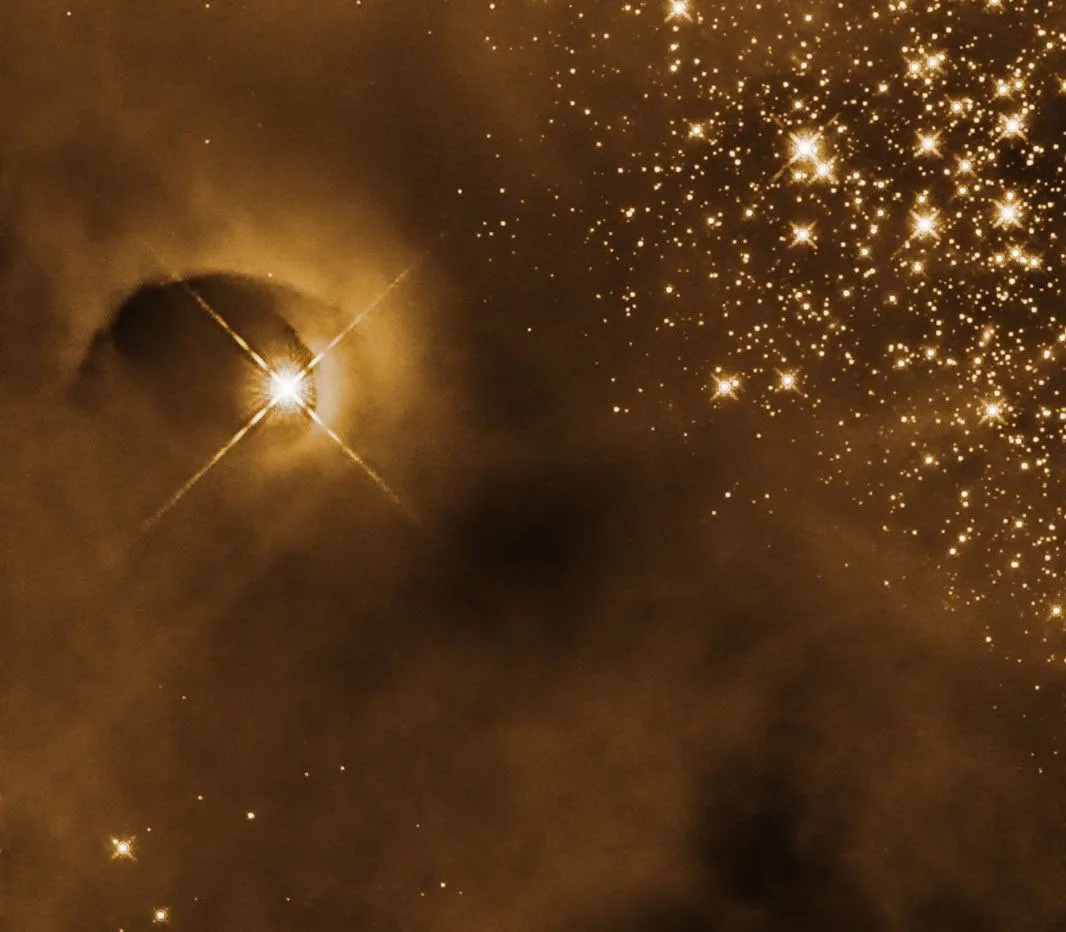 A protostar carves out a cavity in a cloud of gas in the Orion Molecular Cloud complex, in this Hubble Space Telescope image. Credit: NASA, ESA, and T. Megeath (University of Toledo); Processing: Gladys Kober (NASA/Catholic University of America)