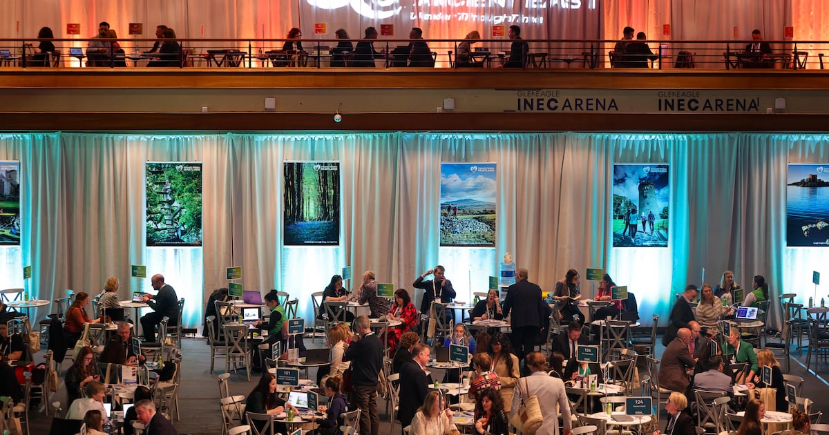 Fáilte Ireland spent €60,000 on alcohol for visitors at two tourism marketing events – The Irish Times