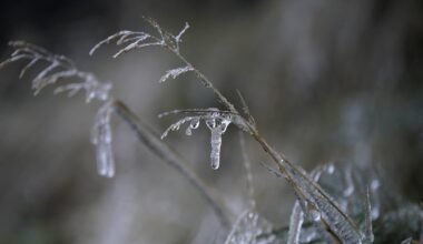 Cold weather to continue with -3 degrees forecast for weekend – The Irish Times