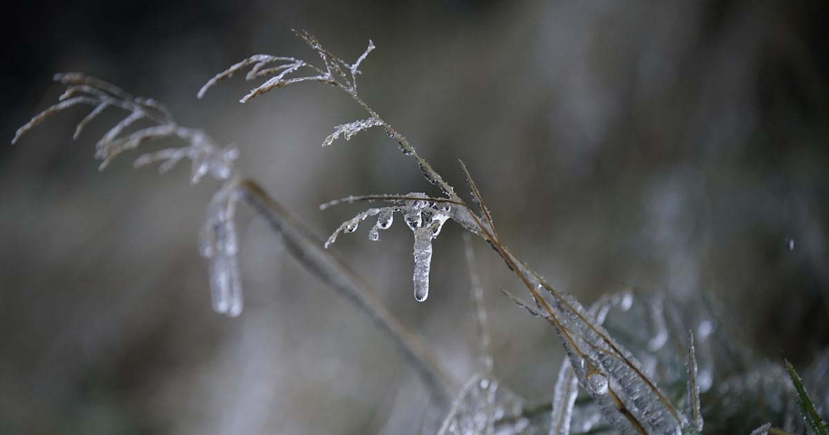 Cold weather to continue with -3 degrees forecast for weekend – The Irish Times