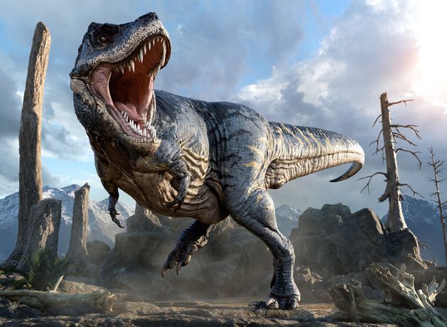 T rex took up to 40 years to reach maximum size, ‘growth rings’ show