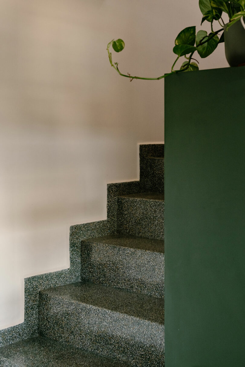 A terrazzo staircase with green risers leads upward beside a white wall; a potted plant rests on the upper landing, its vine trailing down.
