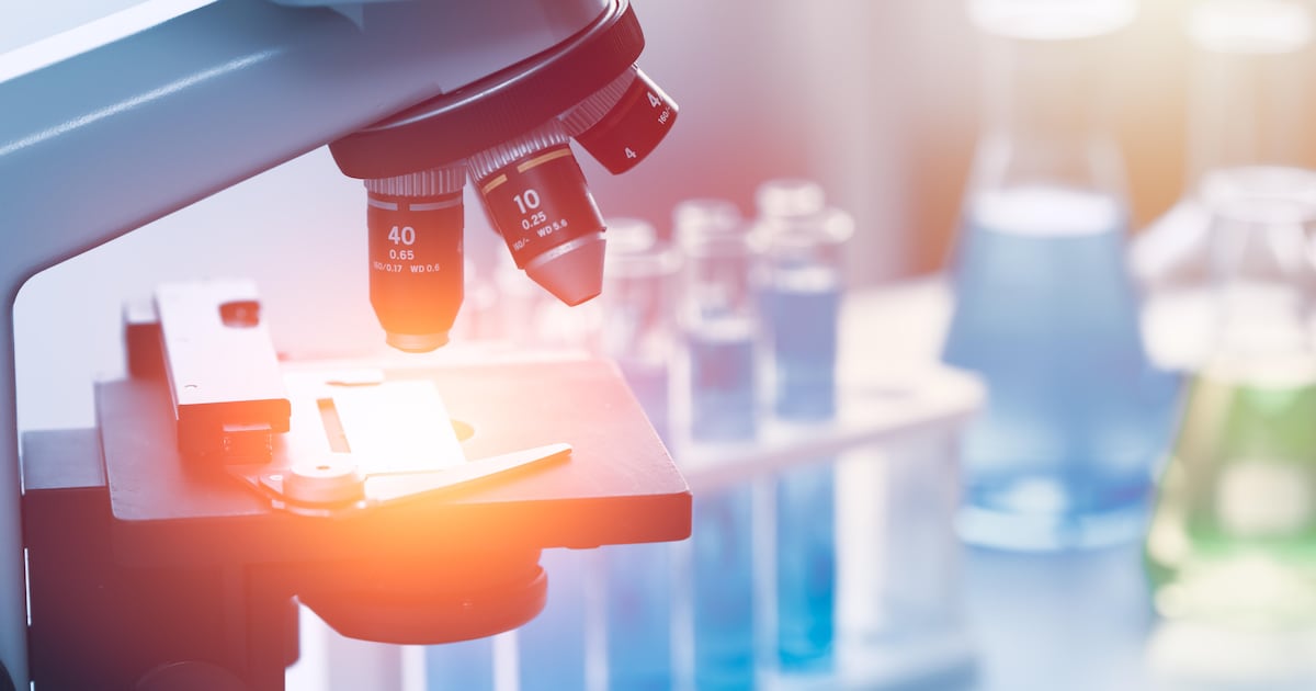 In the future teeth could be regrown in a lab – The Irish News