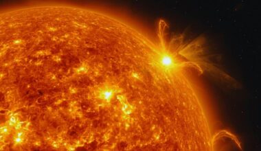 Scientists Watched The Sun Do Something It’s Never Done Before, And Earth Paid The Price