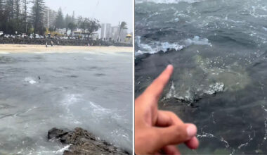 Surfer Kauê captured the wild moment on camera and posted it to TikTok.