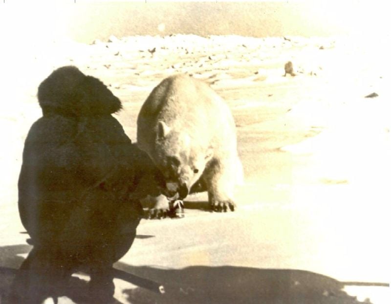 A person dressed in dark clothing kneels on snowy ground facing a polar bear, which is approaching with its head down. The scene takes place in a bright, snowy landscape.