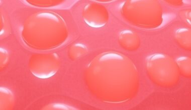 Stem Cell-Derived Vesicles Combat UVB-Induced Skin Aging