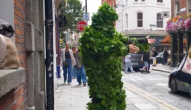 Dublin ‘Bushman’ defends street ‘prank’ amid criticism of online video business – The Irish Times