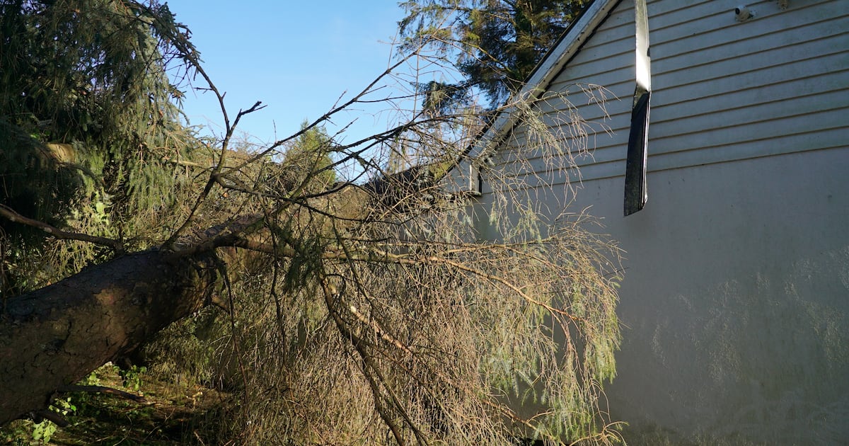 All households in Ireland to get emergency preparation booklet in coming weeks – The Irish Times