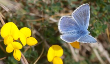 an urgent wake-up call – The Irish Times