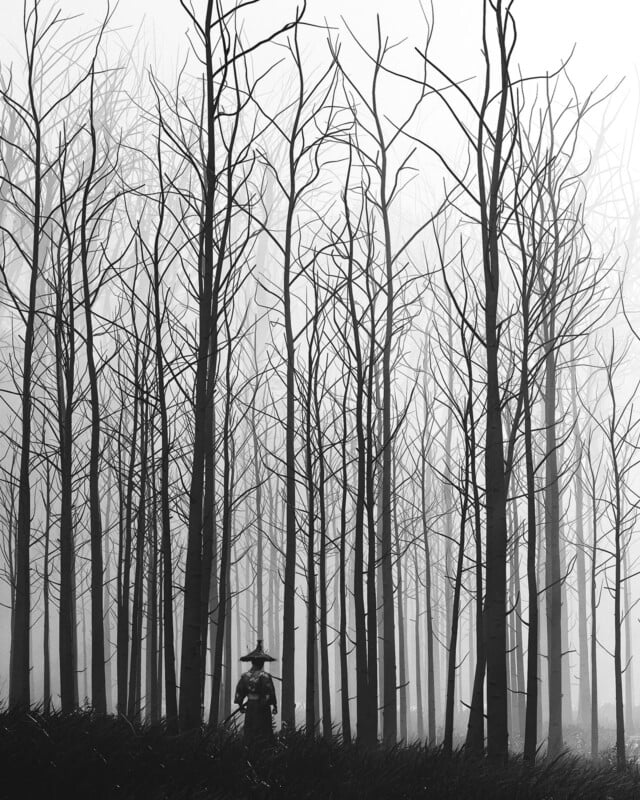 A person wearing a hat and coat stands among tall, leafless trees in a dense, foggy forest. The scene is in black and white, creating a mysterious and moody atmosphere.