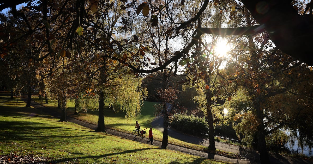 Some retired public service staff live in State-owned homes with weekly rents as low as €12 – The Irish Times