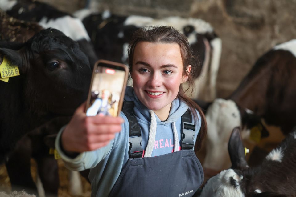 Anna Downey uses her phone to create social media content of calves on the farm. Photo: Jonathan Porter/PressEye