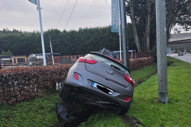 Judge orders protected custody for Wicklow man charged with dangerous driving