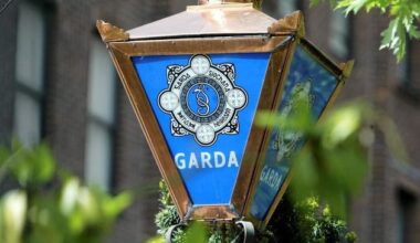 Two arrested following Wicklow stabbing that left victim fighting for his life